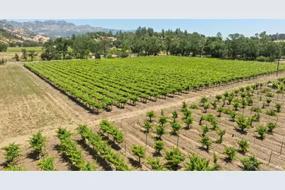 3567 State Highway 128, Calistoga, CA 94515 - Photo 16