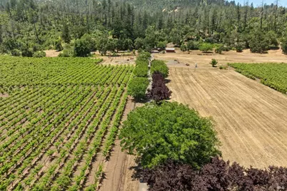 3567 State Highway 128, Calistoga, CA 94515 - Photo 2