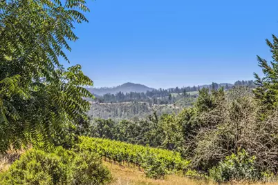 3567 State Highway 128, Calistoga, CA 94515 - Photo 70