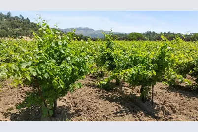 3567 State Highway 128, Calistoga, CA 94515 - Photo 32