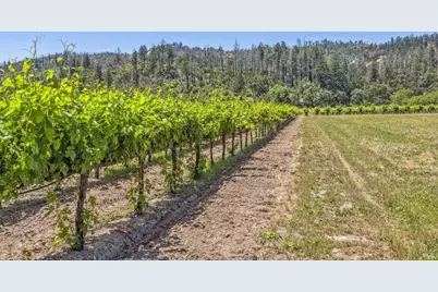 3567 State Highway 128, Calistoga, CA 94515 - Photo 50