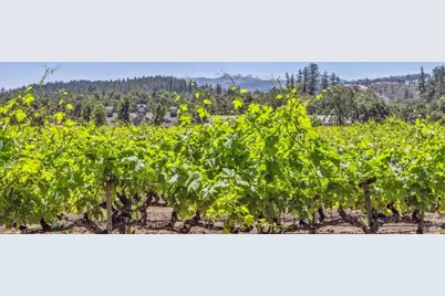 3567 State Highway 128, Calistoga, CA 94515 - Photo 46