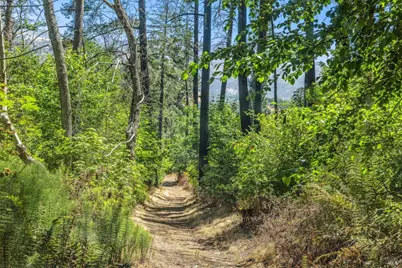 3567 State Highway 128, Calistoga, CA 94515 - Photo 60