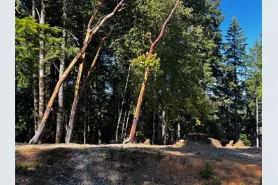 2374 Goose Road, Willits, CA 95490 - Photo 2