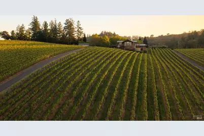 437 W Dry Creek Road, Healdsburg, CA 95448 - Photo 94