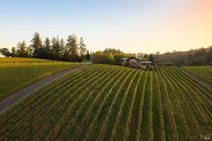 437 W Dry Creek Rd, Healdsburg, CA 95448 - Photo 94