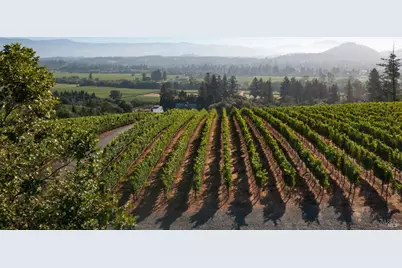 437 W Dry Creek Road, Healdsburg, CA 95448 - Photo 34