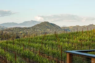 437 W Dry Creek Rd, Healdsburg, CA 95448 - Photo 4
