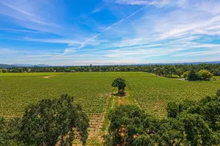 592 Peppertree Dr, Windsor, CA 95492 - Photo 50