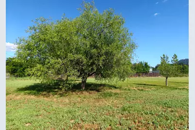 16643 Ellen Springs Road, Lower Lake, CA 95457 - Photo 6