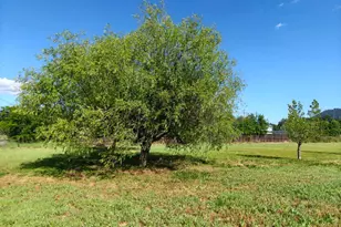 16643 Ellen Springs Rd, Lower Lake, CA 95457 - Photo 6