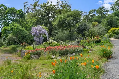 17000 Gehricke Road, Sonoma, CA 95476 - Photo 42