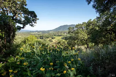 4296 Savannah Trail, Santa Rosa, CA 95404 - Photo 44