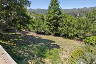 453 Wellesley Ave, Mill Valley, CA 94941 - Photo 46