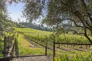 391 Crystal Springs Rd, Saint Helena, CA 94574 - Photo 86