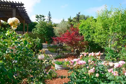 349 S Jefferson Street, Napa, CA 94559 - Photo 28