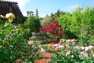349 S Jefferson St, Napa, CA 94559 - Photo 28