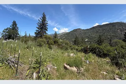 10150 Woodman Creek Road, Laytonville, CA 95428 - Photo 12