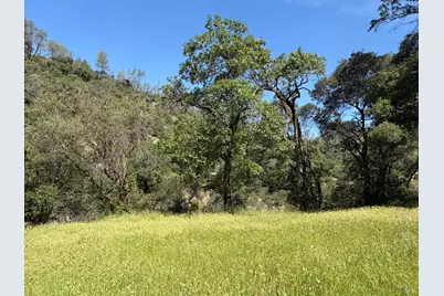 10150 Woodman Creek Road, Laytonville, CA 95428 - Photo 16