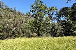 10150 Woodman Creek Rd, Laytonville, CA 95428 - Photo 16
