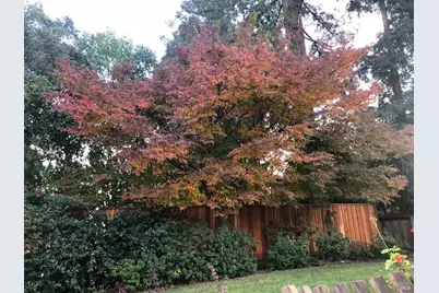 2129 Euclid Avenue, Napa, CA 94558 - Photo 64