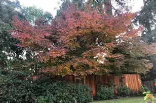 2129 Euclid Ave, Napa, CA 94558 - Photo 64