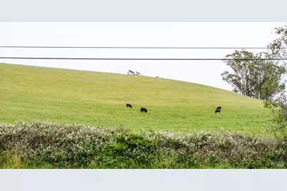 27325 Highway 1, Tomales, CA 94971 - Photo 38