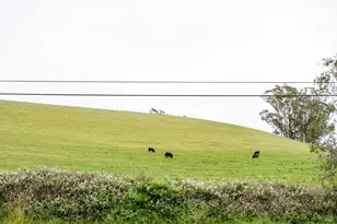 27325 Hwy 1, Tomales, CA 94971 - Photo 38