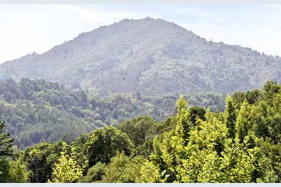 56 Millard Road, Larkspur, CA 94939 - Photo 58