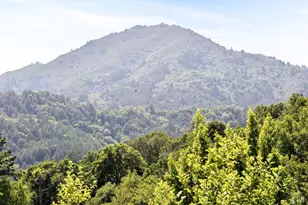 56 Millard Rd, Larkspur, CA 94939 - Photo 58