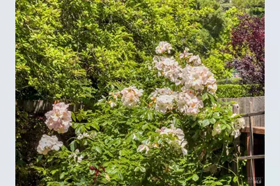 120 Van Winkle Drive, San Anselmo, CA 94960 - Photo 46