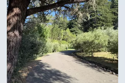 16875 Coleman Valley Road, Occidental, CA 95465 - Photo 68