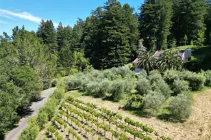 16875 Coleman Valley Rd, Occidental, CA 95465 - Photo 74