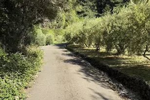 16875 Coleman Valley Rd, Occidental, CA 95465 - Photo 70