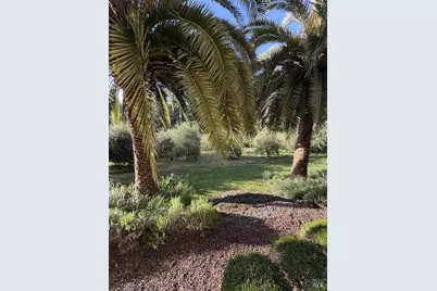 16875 Coleman Valley Road, Occidental, CA 95465 - Photo 6