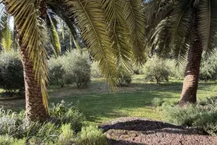 16875 Coleman Valley Rd, Occidental, CA 95465 - Photo 6