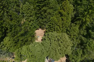 33790 Annapolis Rd, Annapolis, CA 95412 - Photo 40