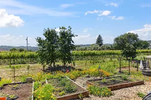 302 Robert Way, Napa, CA 94558 - Photo 40