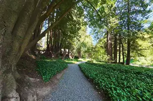 17239 Verba Ln, Guerneville, CA 95446 - Photo 22