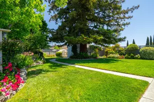 36862 Walnut St, Newark, CA 94560 - Photo 34