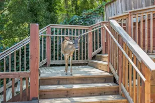51 Berry Trail, Fairfax, CA 94930 - Photo 18