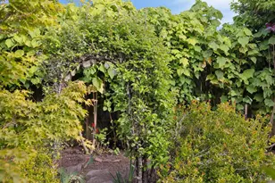450 Cedar Rd, Bolinas, CA 94924 - Photo 28