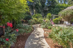 101 Bolinas Ave, Ross, CA 94957 - Photo 28