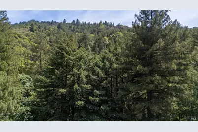 334 Madrone Avenue, Larkspur, CA 94939 - Photo 34