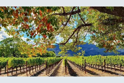 1876 Heritage Way, Yountville, CA 94599 - Photo 56
