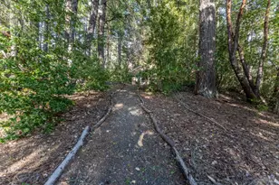 4425 Lakewood Dr, Willits, CA 95490 - Photo 24