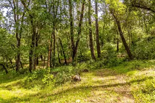 6435 Dry Creek Rd, Napa, CA 94558 - Photo 28