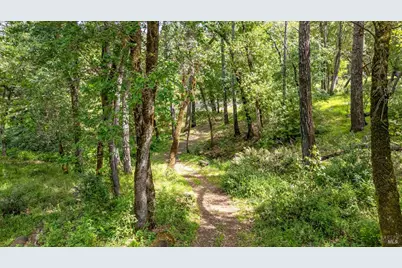 6435 Dry Creek Road, Napa, CA 94558 - Photo 26