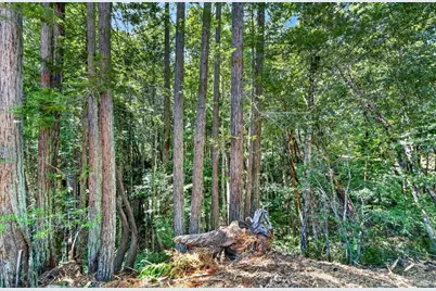 0 Maple Basin Road, Philo, CA 95466 - Photo 6