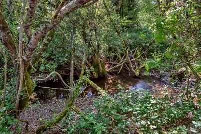 0 Cox Court, Santa Rosa, CA 95409 - Photo 6